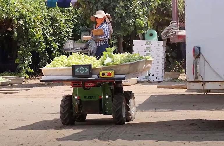 Altyapısız Ortamlarda Robot Geliştirme: Zorluklar ve Çözümler