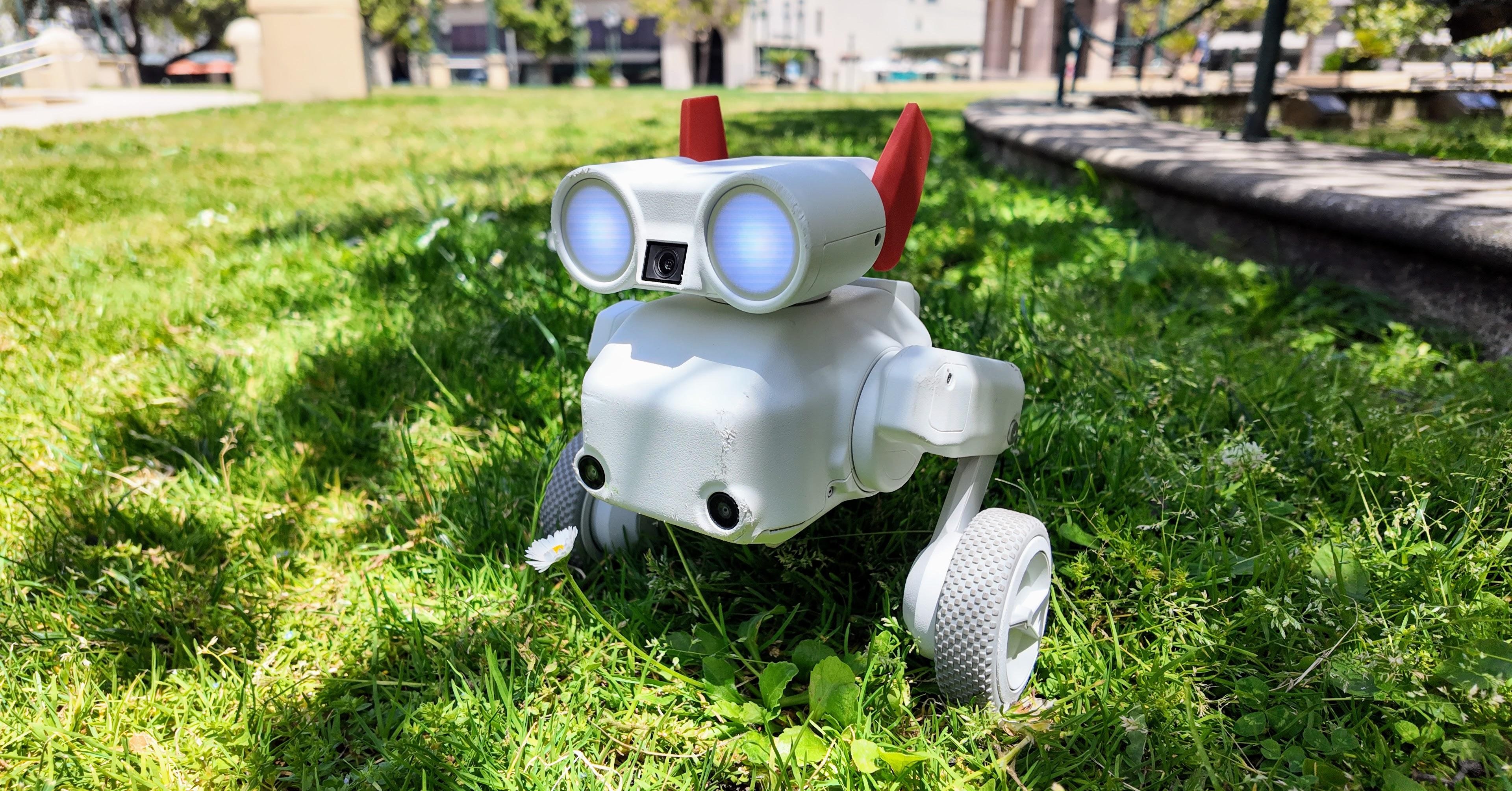 Beni: 800 Dolar Değerindeki Robot Köpek Kamerası ile Tanışın