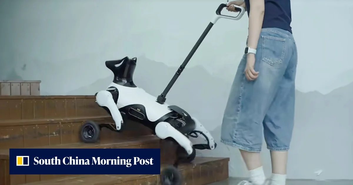 Çin'de İlk Robot Rehber Köpek Tanıtıldı