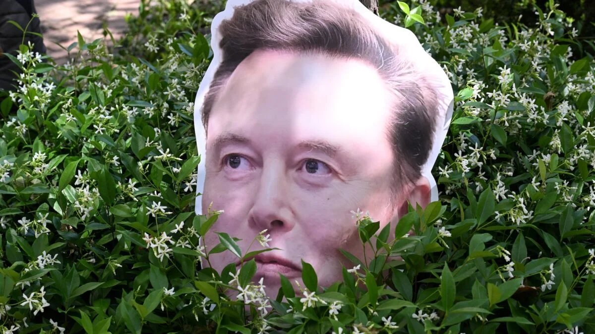 Elon Musk'ın Gizemli Yapay Zeka Grafiği Ne Anlama Geliyor?