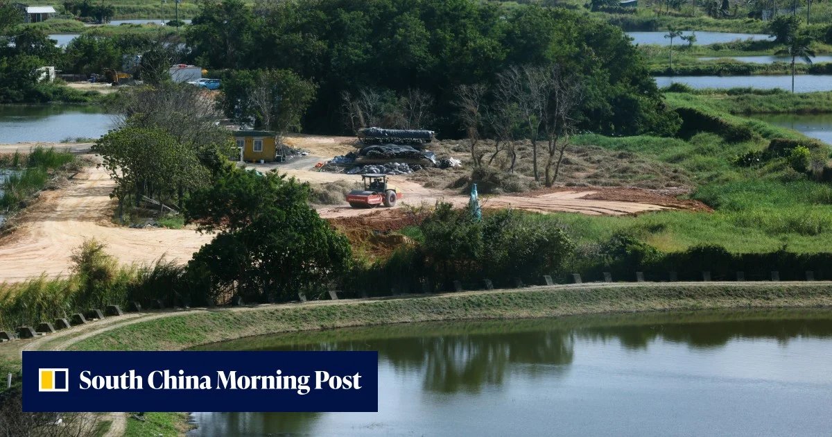 Hong Kong, Yapay Zeka ile Çevresel Etki Değerlendirme Sürelerini Yarıya İndirdi