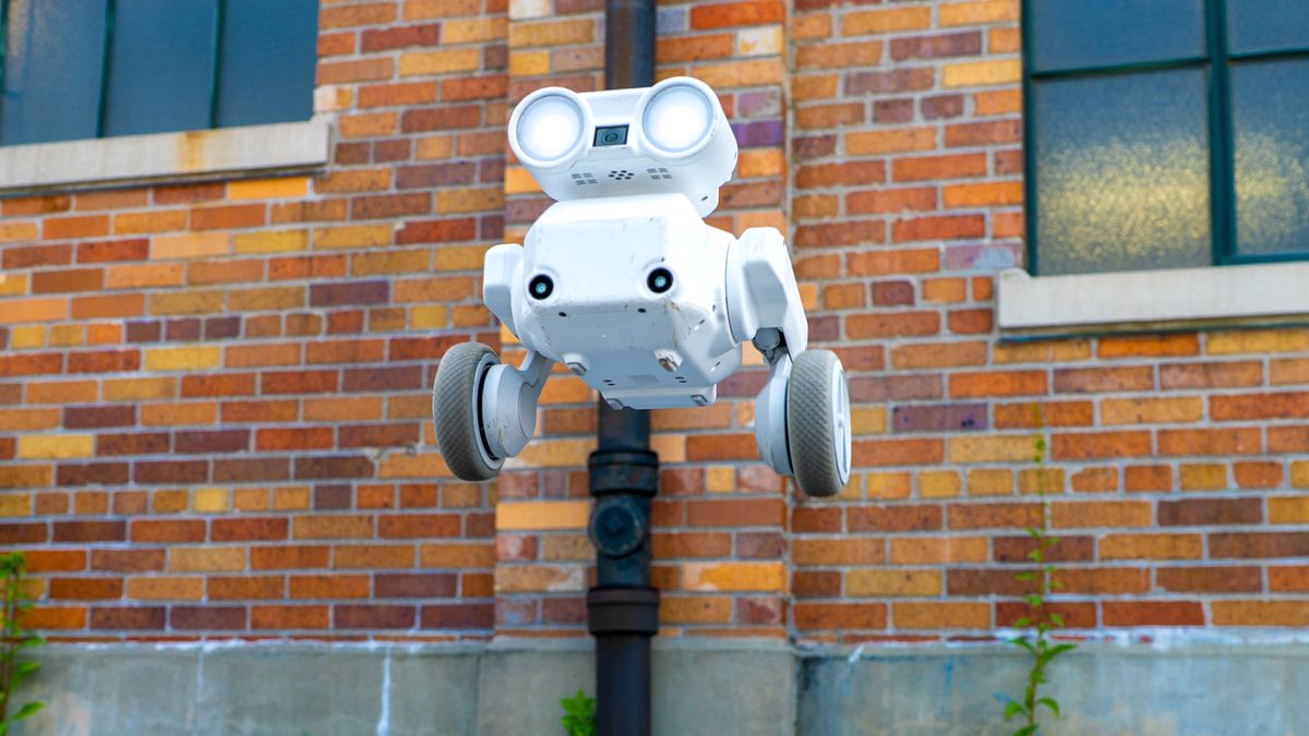 New York'ta Drone Yerine Beni: Akıllı Kamera Robotu Deneyimi
