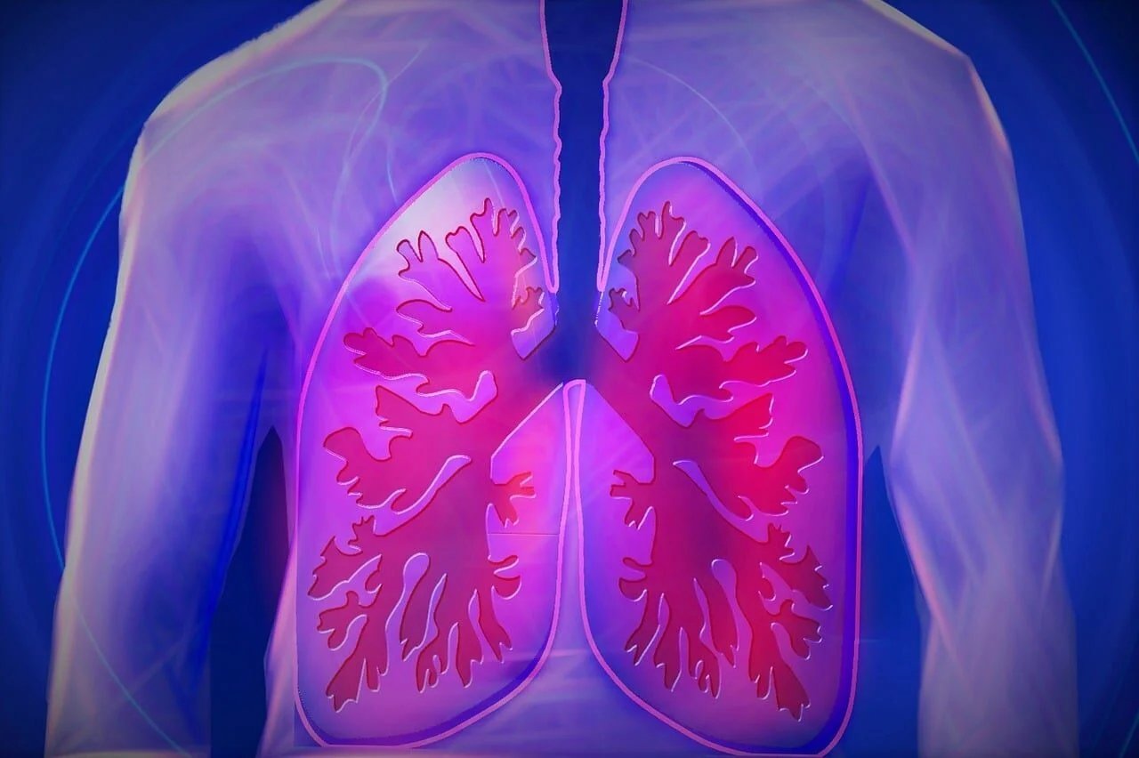 RevealDx ve 4DMedical'dan Akciğer Sağlığına Yönelik Önemli İş Birliği