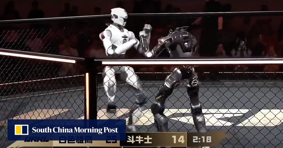 Robot Savaşları: MMA Mücadelesinde Bir Robot Başsız Kaldı