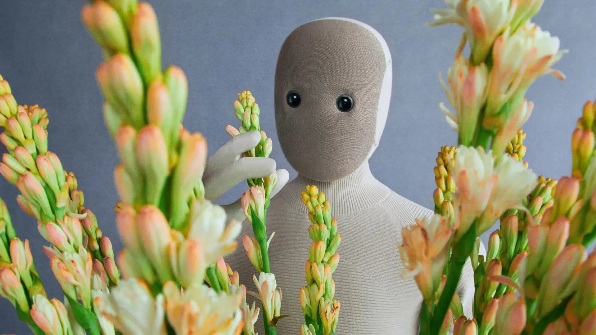 Robotların İş Yerlerinde Kullanımı İçin Yeni Bir Gelişme