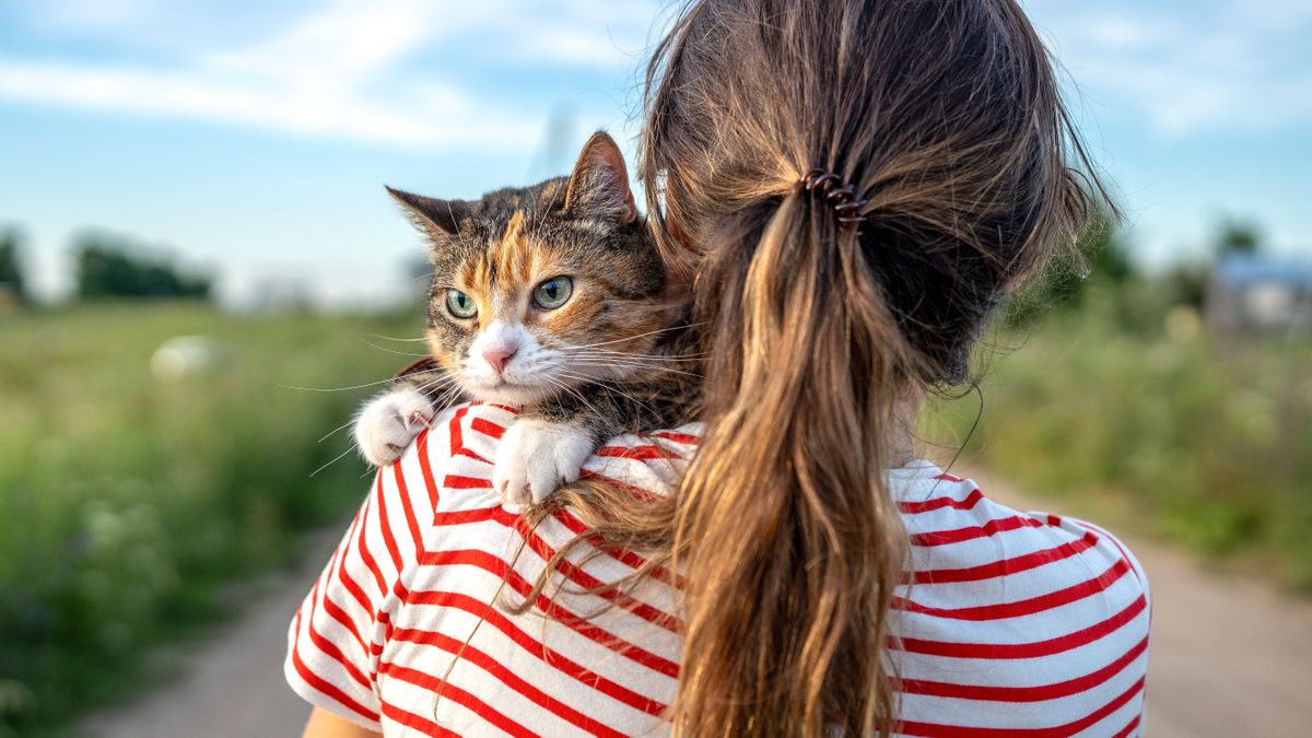 Uluslararası Kedi Günü'nde Denemeniz Gereken 7 ChatGPT İpucu