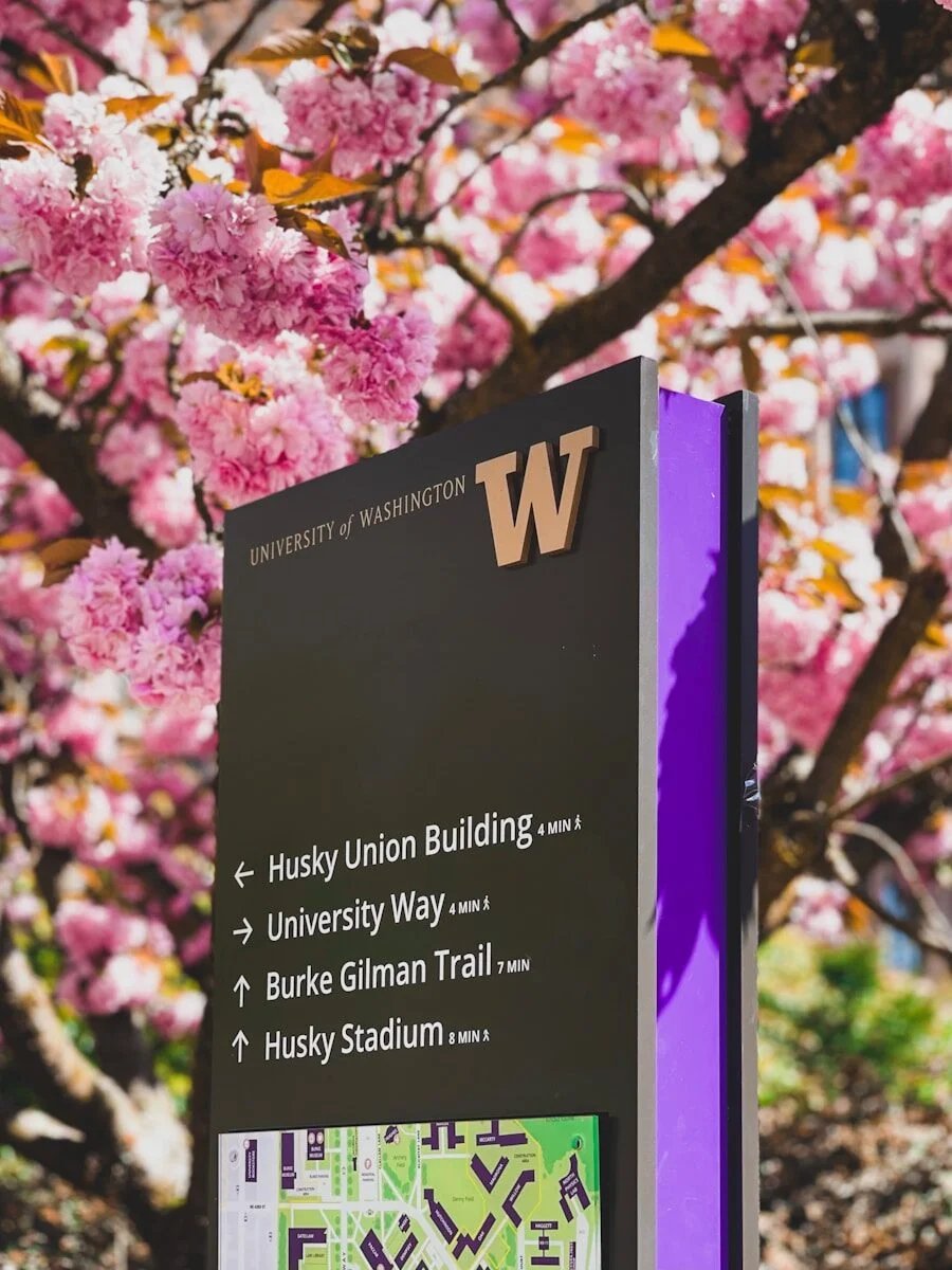 Washington Üniversitesi'nden Cihaz Karbon Ayak İzini Hızla Hesaplayan AI Aracı
