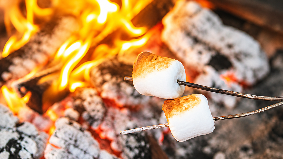Yapay Zeka Yanıtlarını Dönüştüren 'Marshmallow Prompt' Deneyimi